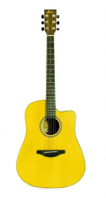 Акустична китара Winzz AFM-H10